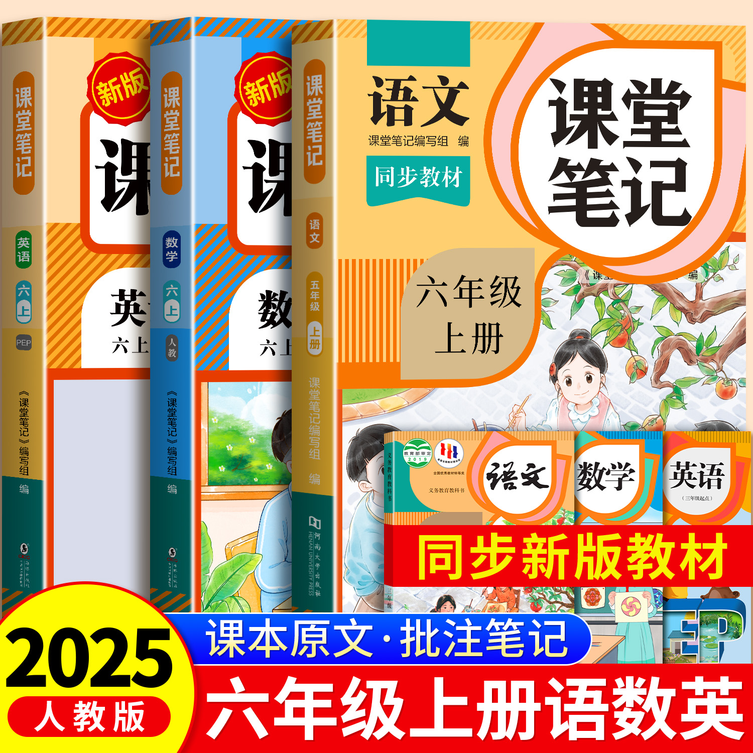 2025年新版六年级上册课堂笔记