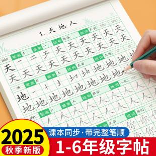一年级练字字帖二三年级四五六年级上下册练字帖小学生专用语文教材人教版 同步练字帖每日一练笔画笔顺硬笔楷书书法写字描红练字本