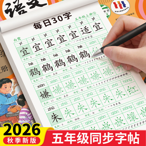 五年级同步练字帖每日30字