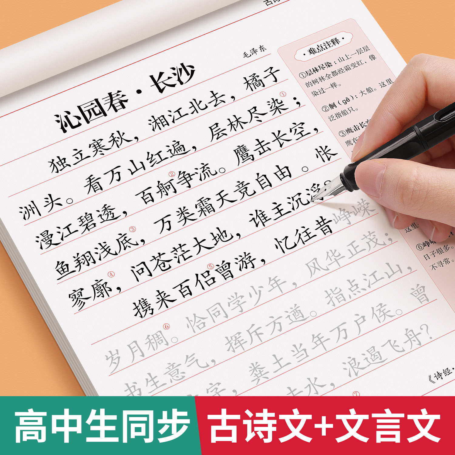 高中生同步古诗文字帖高考必备72篇文言文古诗词高中专用练字帖高一二三上册下册必修人教版语文同步楷书字贴临摹练字本每日一练 - 实物图