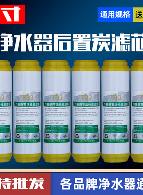 净水器滤芯10寸平口T33后置活性炭滤芯直饮纯水机椰壳活性炭滤芯
