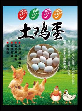 土鸡蛋广告牌贴画海报打印