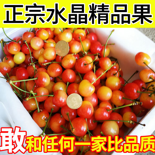 山东小樱桃新鲜孕妇水果黄水晶