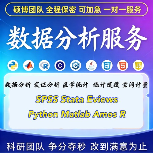 SPSS数据分析服务eviews实证Stata问卷调查meta医学amos统计R代做