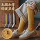秋冬款 小腿袜女加绒加厚毛圈保暖长筒袜子女中筒袜ins潮高筒袜棉