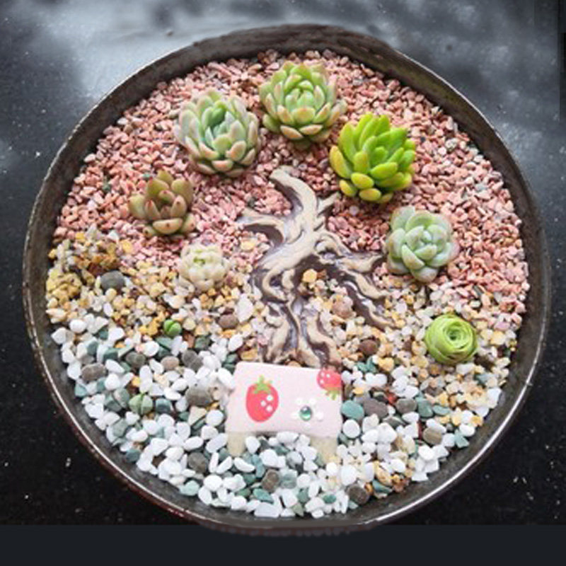 残次品特价清仓肉肉复古多肉花盆