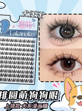 Natural large capacity segmented fox style false eyelashes
