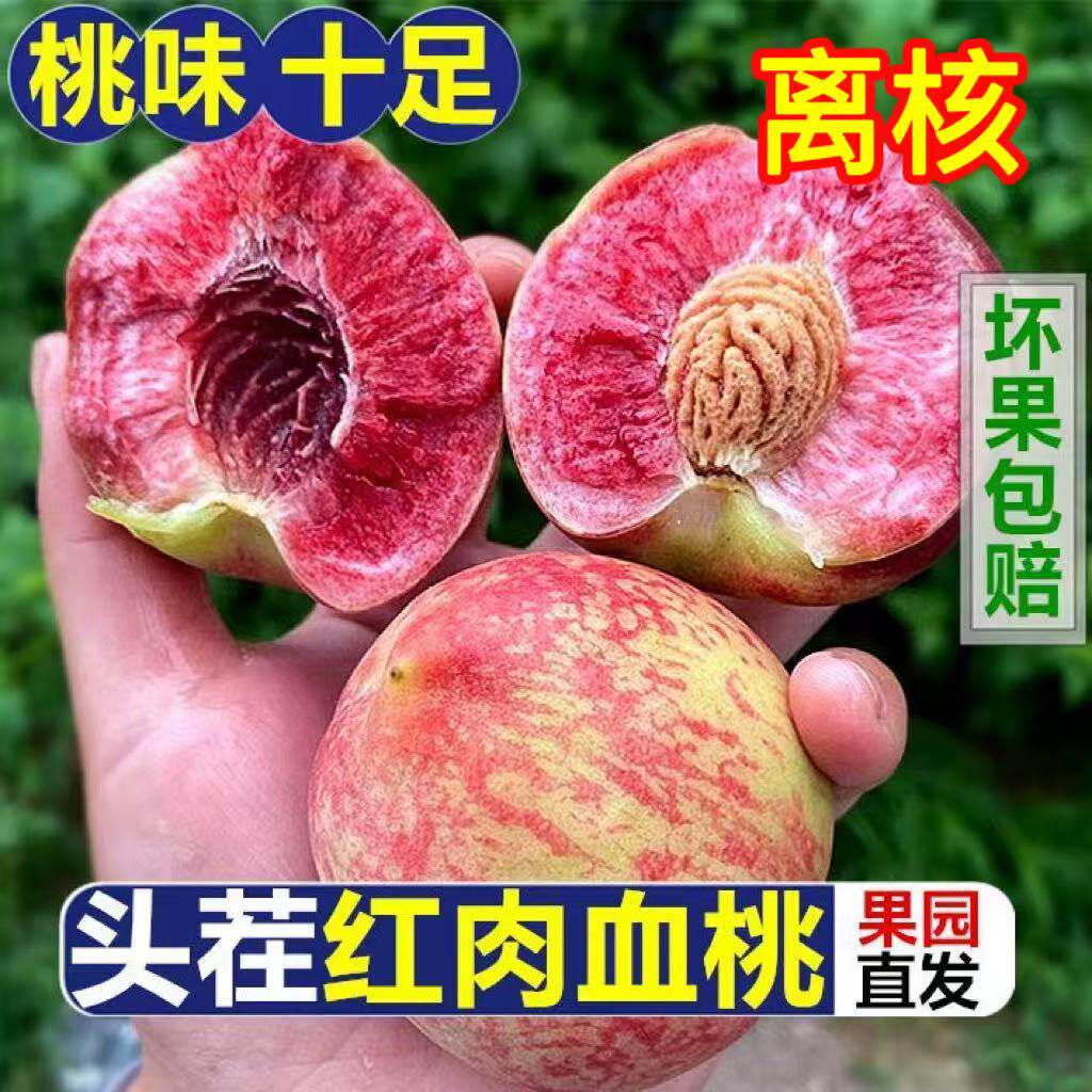 桃子5斤新鲜水果现摘现发红心血桃当季毛桃离核脆桃应季水蜜桃子
