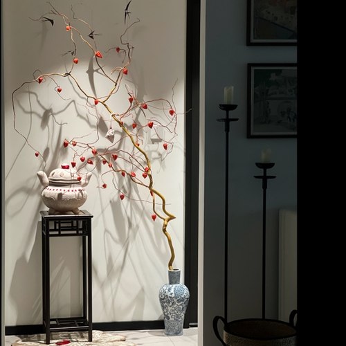 华灯初上一枝独秀 | 酸浆果龙柳室内秋冬氛围感水培轻奢落地花材