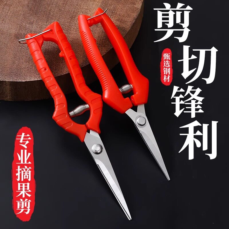 果树剪刀采果剪园艺剪葡萄疏花剪修花修枝剪采摘摘果剪刀户外果园