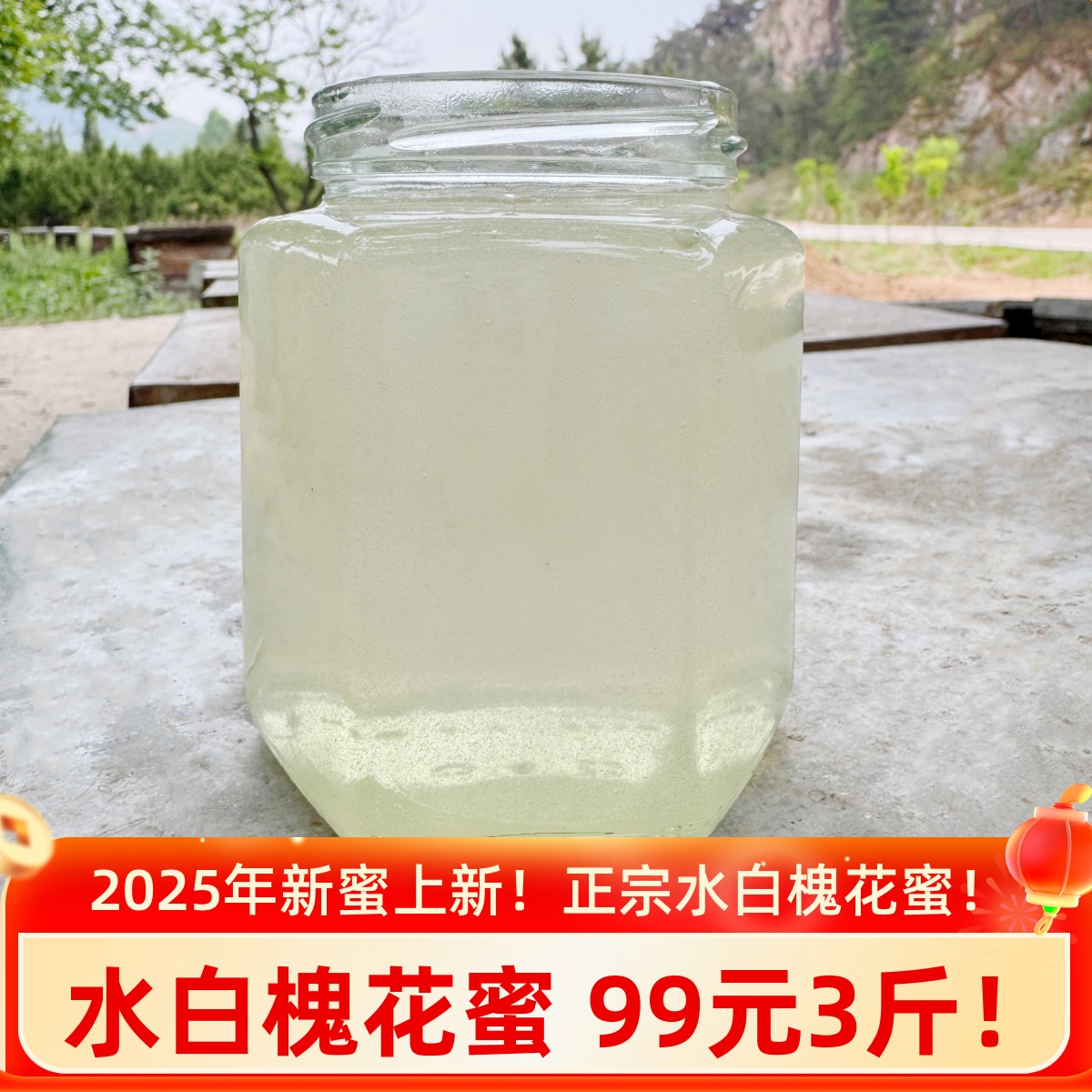 【洋槐蜜】正宗水白蜜槐花蜜真蜂农家自产纯正天然无添加蜂蜜原蜜