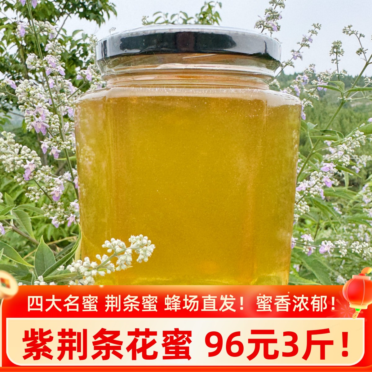 【荆条蜜】蜂蜜纯正宗天然蜂农家自产养蜂场直发孕妇儿童成熟原蜜