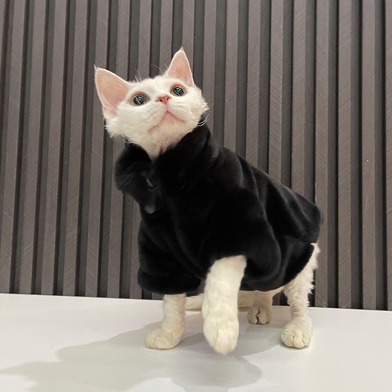 加绒加厚保暖亲肤防貂拉链外套