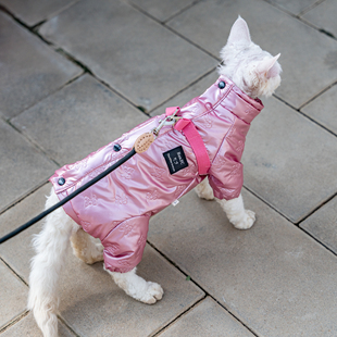 发热薄棉服四脚衣潮牌外出户外牵引无毛猫衣服猫咪德文阿比东短