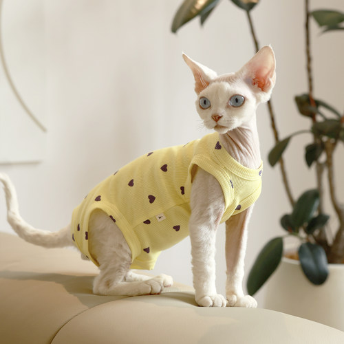 猫咪高弹护肚子四脚衣夏季空调服