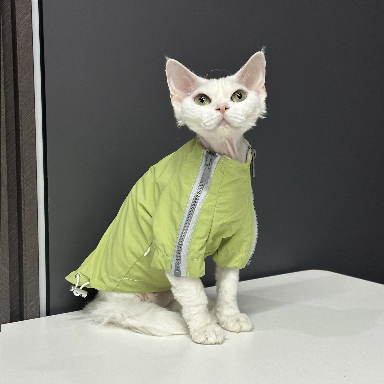 双拉链户外冲锋衣防风外套任发财德文猫衣服无毛猫衣服斯芬克斯