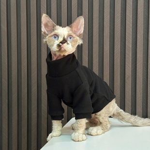 澳绒自发热内搭地暖房T恤任发财无毛猫衣服斯芬克斯猫德文