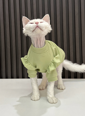 任发财绿色花边T恤无毛猫衣服德文衣服斯芬克斯猫夏季纯棉透气