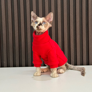 新年澳绒自发热内搭地暖房T恤任发财德文猫无毛猫衣服斯芬克斯猫