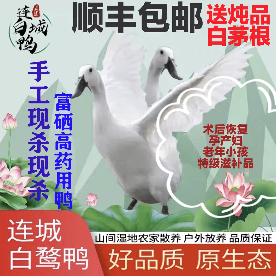 二年正宗连城白鸭公鸭新鲜现杀农家散养土鸭子福建白鹭鸭白鹜鸭图片