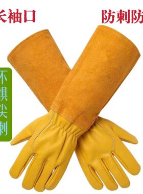 防刺手套真皮园艺专用玫瑰月季花修剪防耐磨摘花椒剪防扎加厚加长