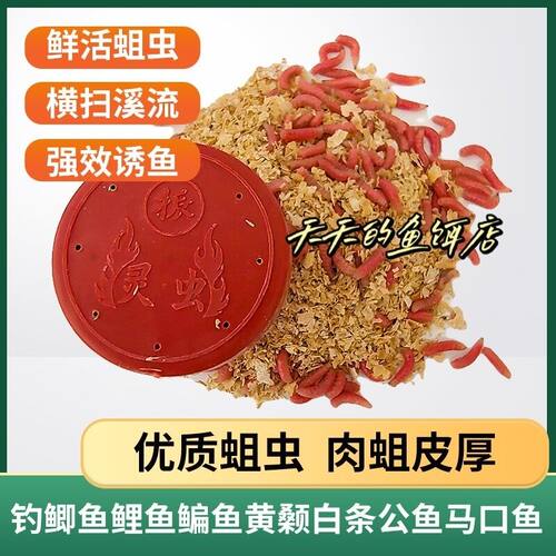 爆款灵虫红蛆钓鱼神器溪流野钓鲫鱼石斑鱼马口白条盒装红蛆虫新款