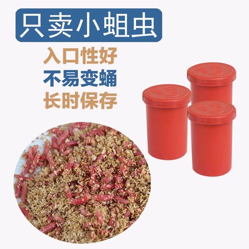 溪流钓野钓专用小个头红蛆虫活饵鲫鱼石斑鱼溪哥马口鱼饵不易变蛹