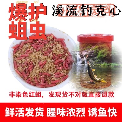 活饵蛆虫红蛆虫活饵蛆虫钓鱼用钓鱼活饵溪流钓石斑鱼马口白条饵料