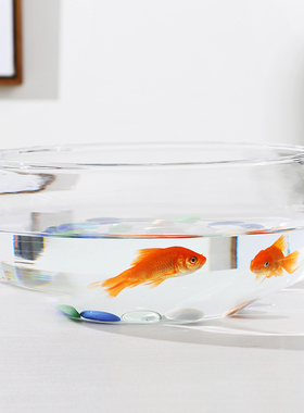 透明玻璃器皿花瓶水仙水培盆铜钱草碗莲水培花盆水培植物花瓶鱼缸