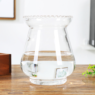 欧式 玻璃花瓶花盆龙蛋花瓶绿萝水培花瓶简约水养植物器皿 大号特价