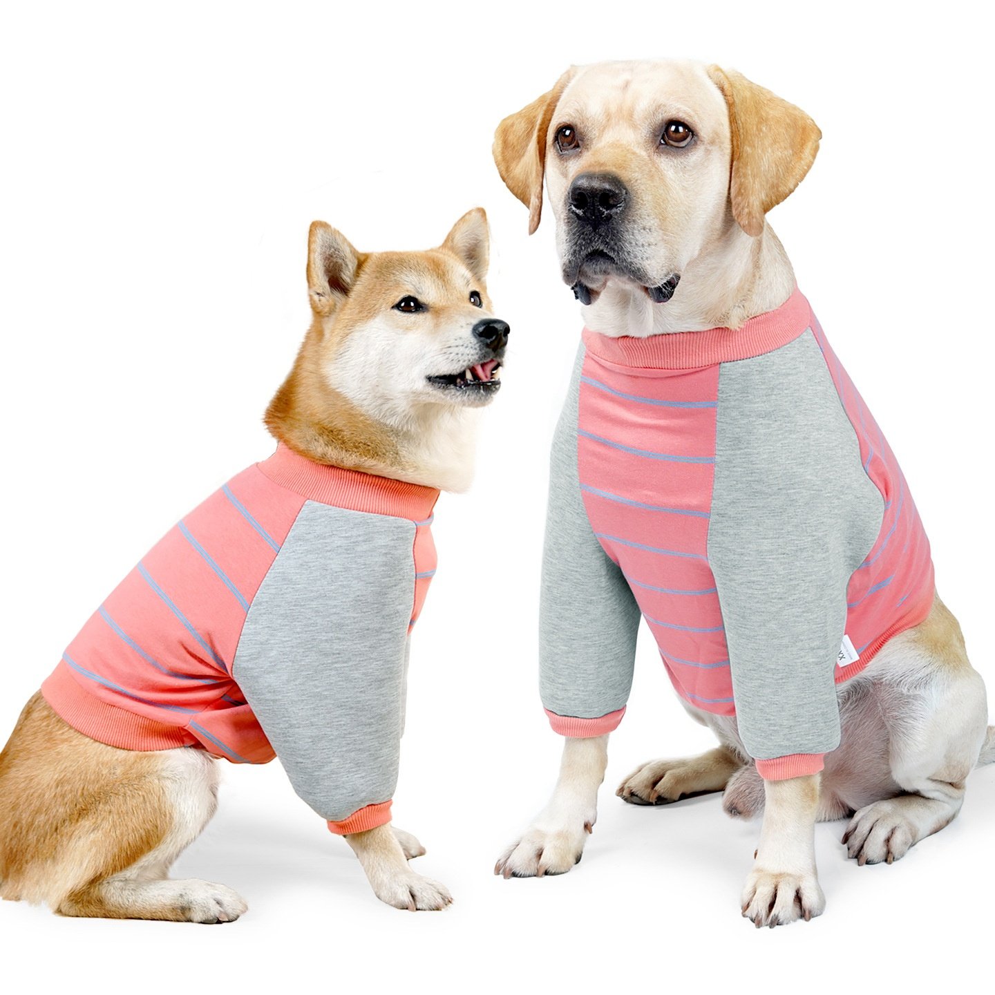 宠物用品冬季保暖狗狗护肘衣受伤狗狗中大型犬保护前腿防舔舐,宠物/宠物食品及用品,狗宠物服装/雨衣,淘宝优惠券,粉丝福利购,淘宝优惠卷