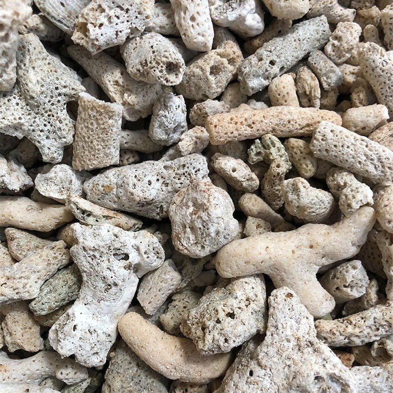 鱼池过滤材料珊瑚骨滤材鱼缸造景底砂珊瑚石水族箱海鲜池净化PH值,宠物/宠物食品及用品,水草,淘宝优惠券,粉丝福利购,淘宝优惠卷
