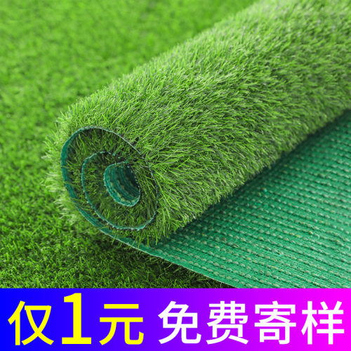 样品专拍垫子人工塑料草坪地毯