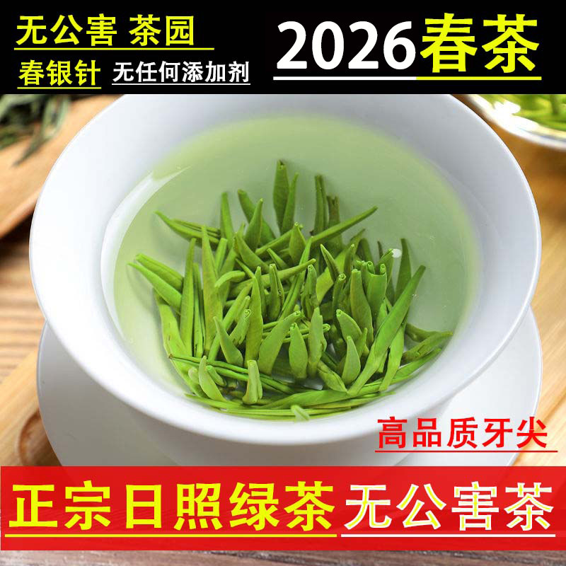 2026春茶毛尖雀舌新茶日照绿散装浓香型特级崂山青银针全芽尖500g