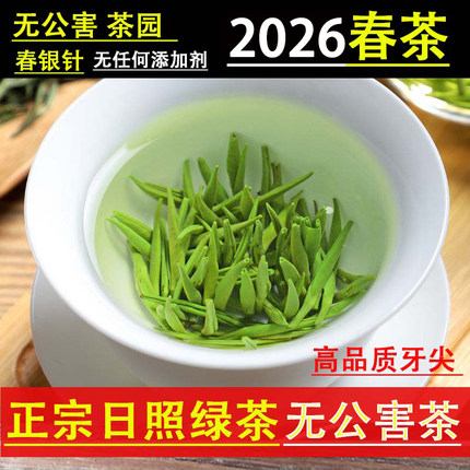 2026春茶毛尖雀舌新茶日照绿散装浓香型特级崂山青银针全芽尖500g