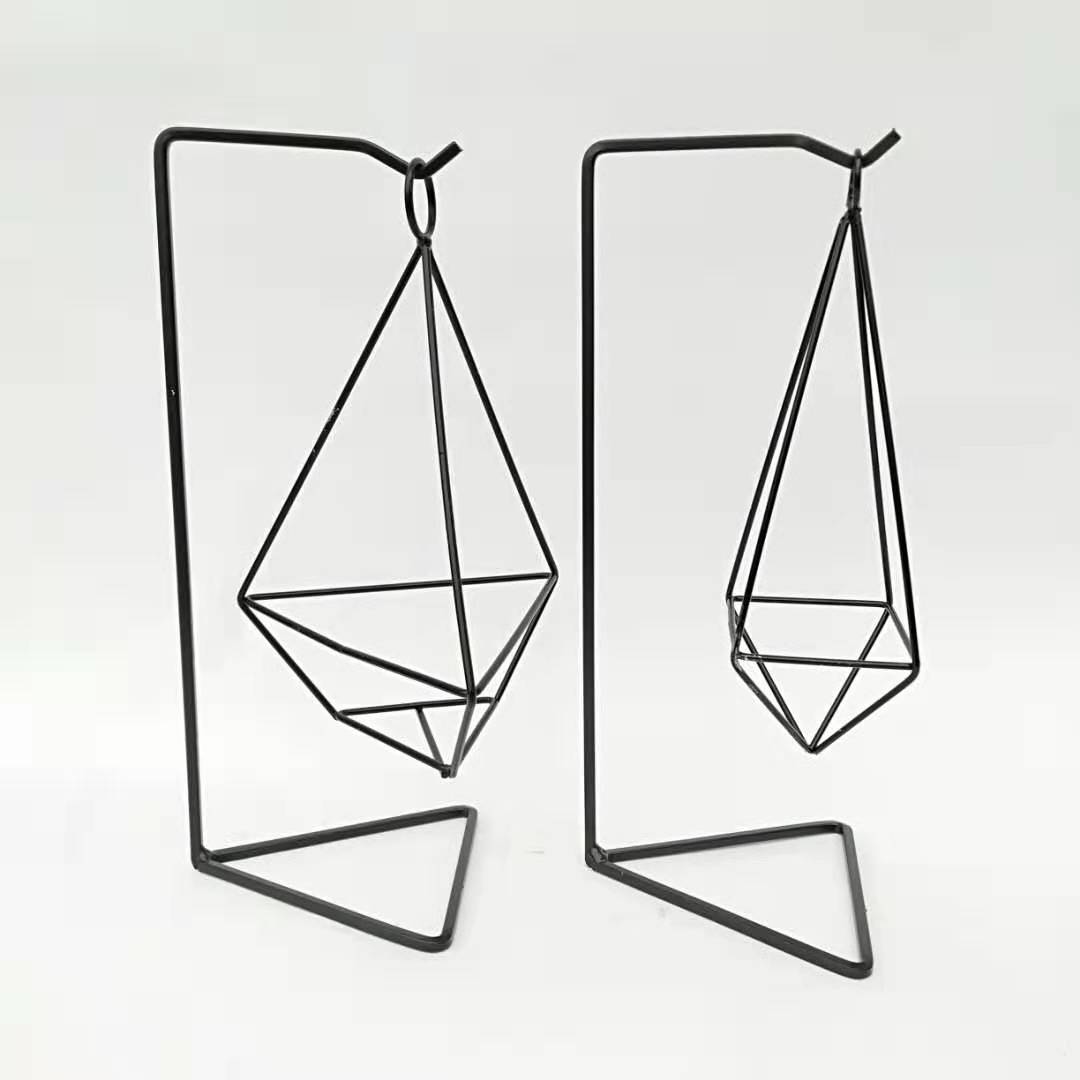 空气凤梨无土植物支架室内摆放