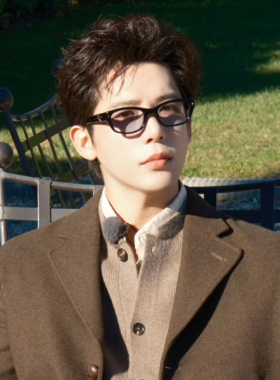 王安宇同款蓝色眼镜女太阳镜老钱风高级感2026新款墨镜男韩版复古