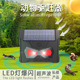 animal New repellent超声波驱鼠器 rodent and solar powered