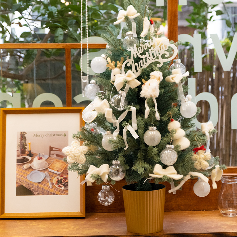 large Christmas accumulation cedar Nobeison圣诞积雪松诺贝松