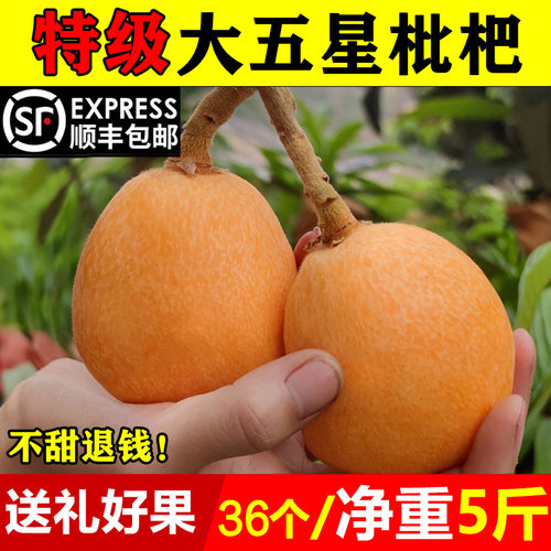超甜特级大五星枇杷5斤礼盒装