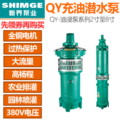 充油式喷泉大流量潜水泵