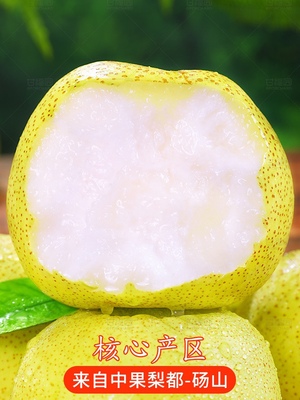 安徽砀山酥梨应季水果御砀园包邮