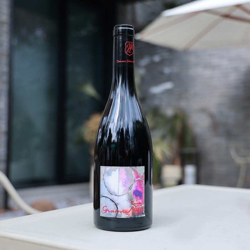 【小渣爱酒】米歇尔约翰酒庄黑果干红葡萄酒2021年 法国VDF级