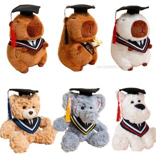 25cm Cute 2025 New Graduation Capybara Plush Doll Doctor Cap