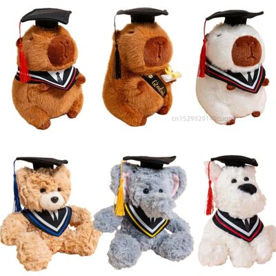 25cm Cute 2025 New Graduation Capybara Plush Doll Doctor Cap