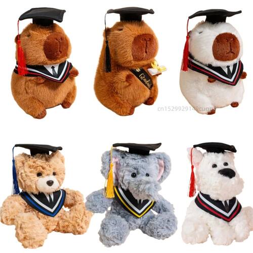 25cm Cute 2025 New Graduation Capybara Plush Doll Doctor Cap