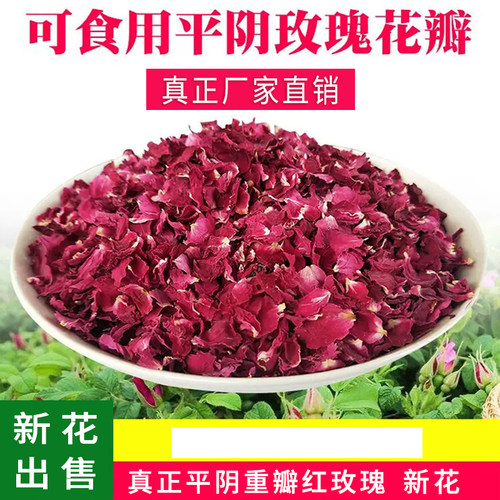 平阴玫瑰花瓣美侬花田玫瑰