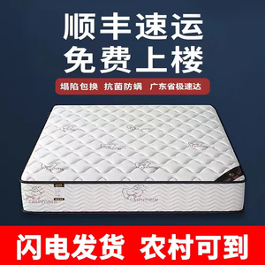 席梦思床垫海马软硬两用乳胶椰棕弹簧家用宿舍经济型20CM租房专用