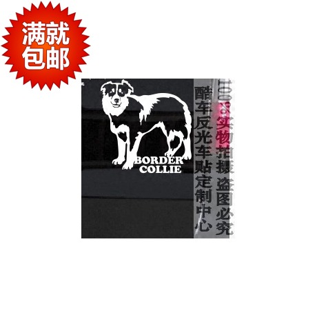 专业车贴反光膜 雕刻工艺制作 反光效果好 防水 耐晒 非一般劣质印刷类车贴可比 色彩鲜艳亮丽 经历5-6年风吹雨打 车贴依然靓丽如新 【欢迎来图定制，批量优惠】
