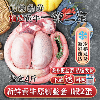 新鲜现宰黄牛牛鞭牛宝滋补4斤